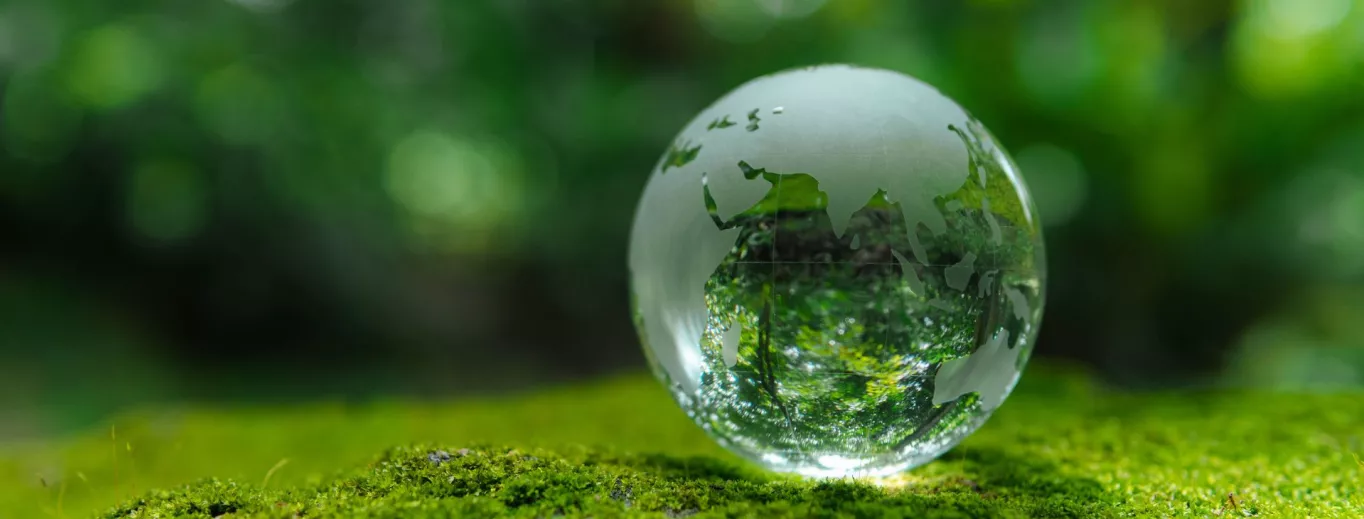 Les Gars des Eaux s'engage avec Team for the Planet