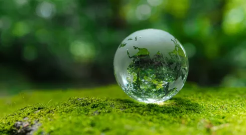 Les Gars des Eaux s'engage avec Team for the Planet