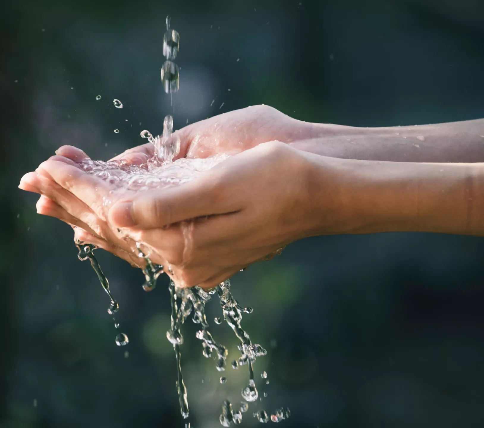 PRÉSERVER L’ENVIRONNEMENT, C’EST DANS NOTRE NATURE.   1